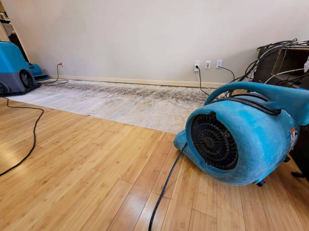 Professional Basement Flood Cleanup technician working in Asotin, WA